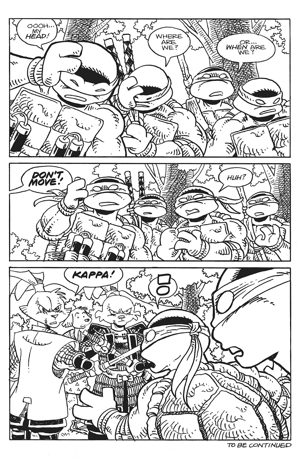 Teenage Mutant Ninja Turtles/Usagi Yojimbo: WhereWhen #1: Director’s Cut Full - Page 25