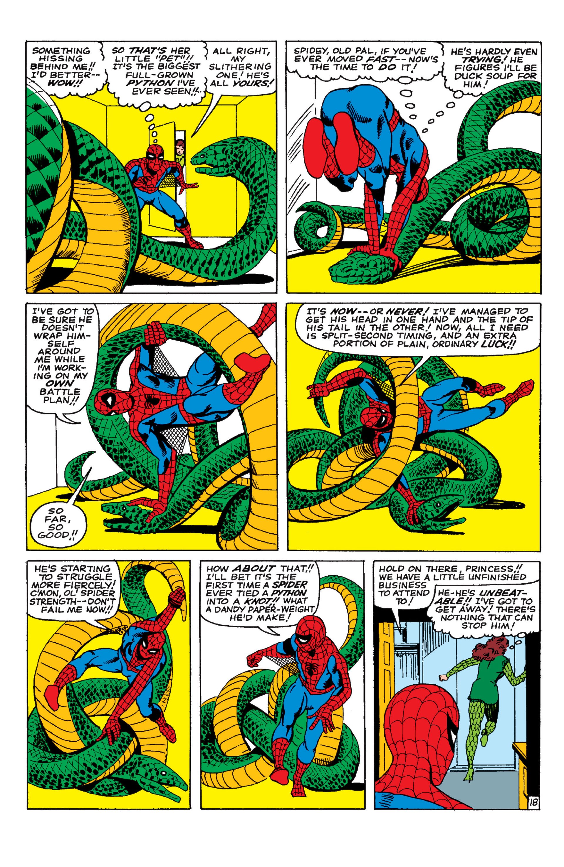 The Amazing Spider-Man (1963) Issue #22 - Page 19