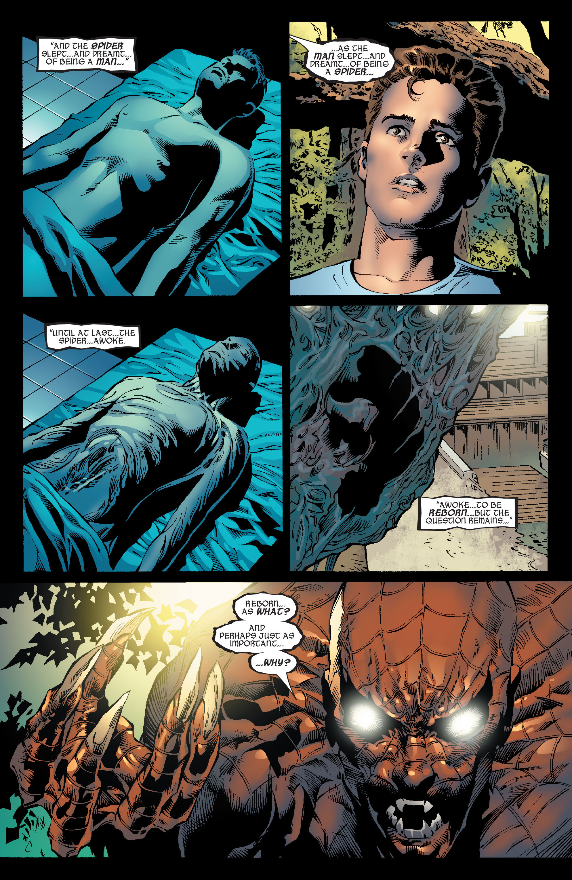 The Amazing Spider-Man (1963) Issue #527 - Page 14