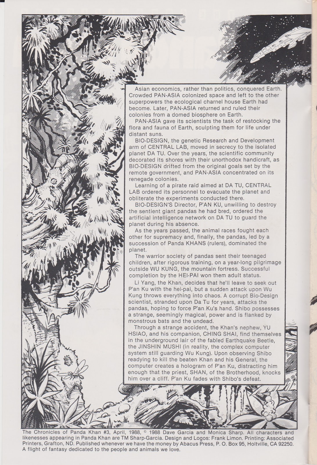 The Chronicles of Panda Khan Issue #3 - Page 2