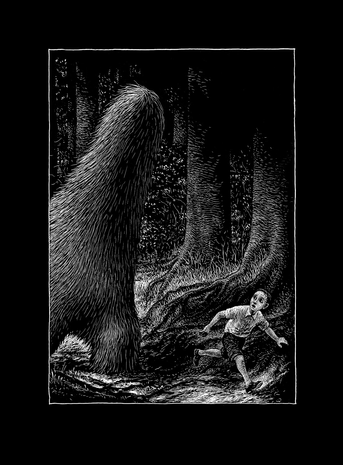 The Forest Full - Page 13