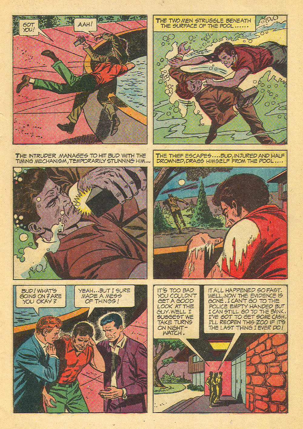 The Frogmen Issue #4 - Page 17
