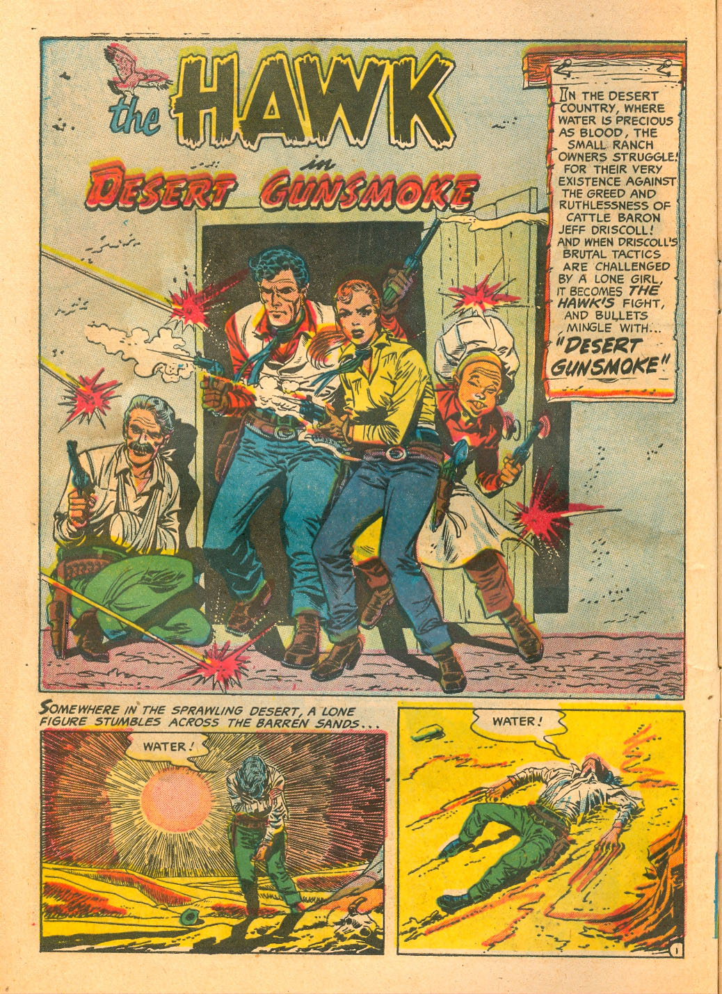 The Hawk Issue #11 - Page 2