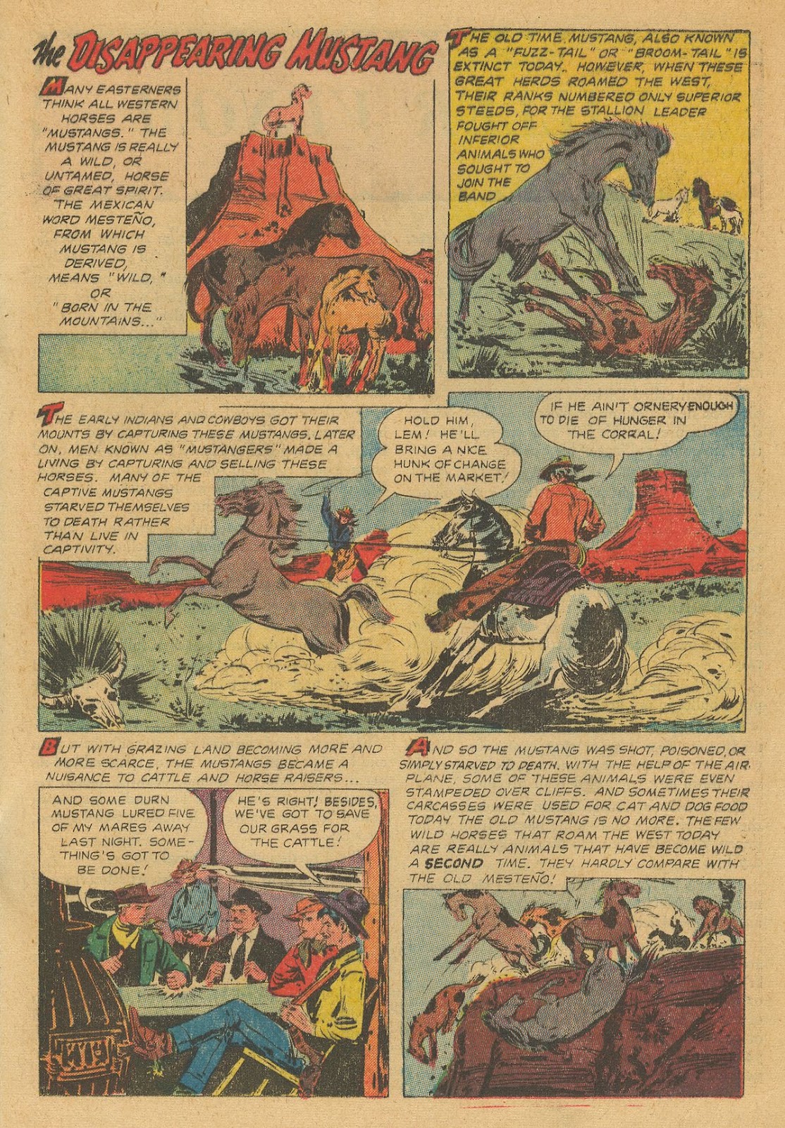The Hawk Issue #8 - Page 17