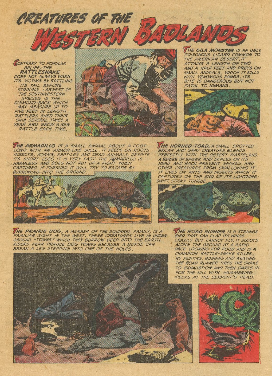The Hawk Issue #8 - Page 20