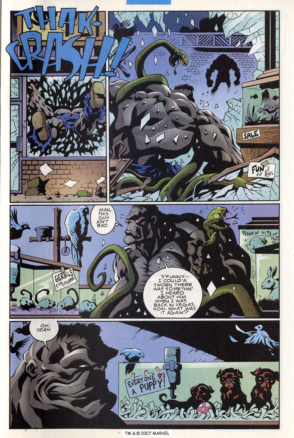 The Incredible Hulk (2000) Issue #23 - Page 27