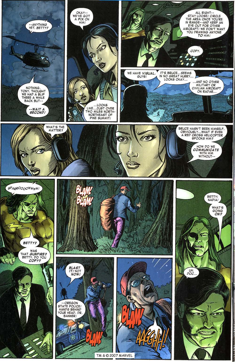 The Incredible Hulk (2000) Issue #75 - Page 30