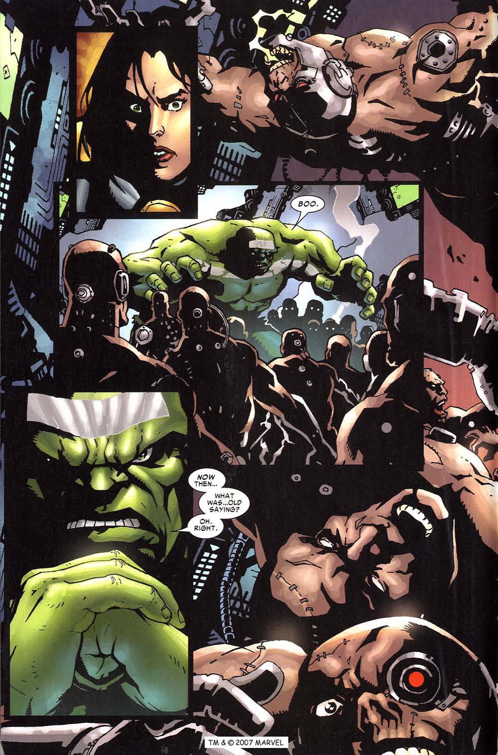 The Incredible Hulk (2000) Issue #86 - Page 16