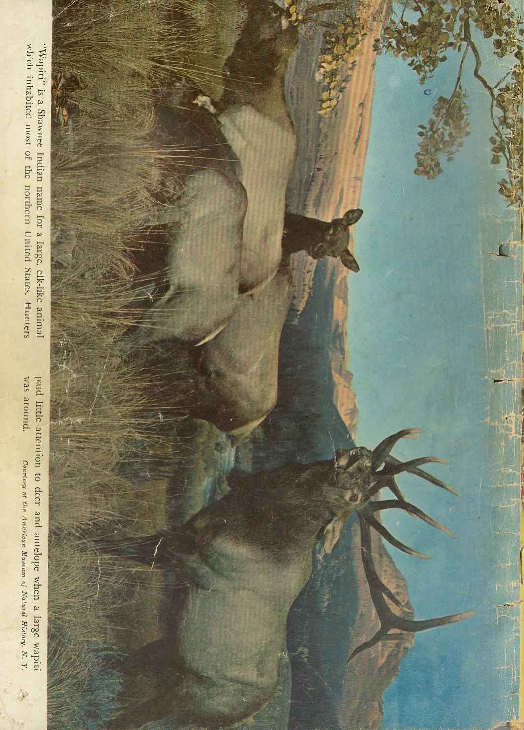 The Lone Ranger (1948) Issue #38 - Page 52