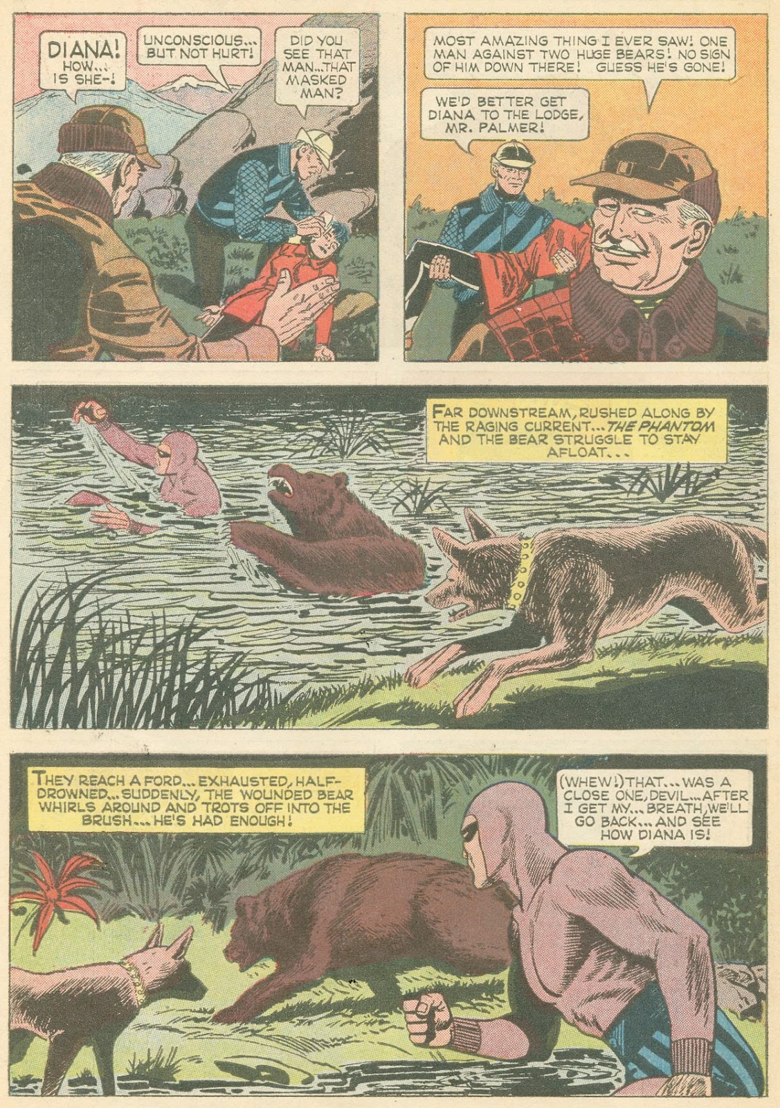 The Phantom (1962) Issue #14 - Page 30