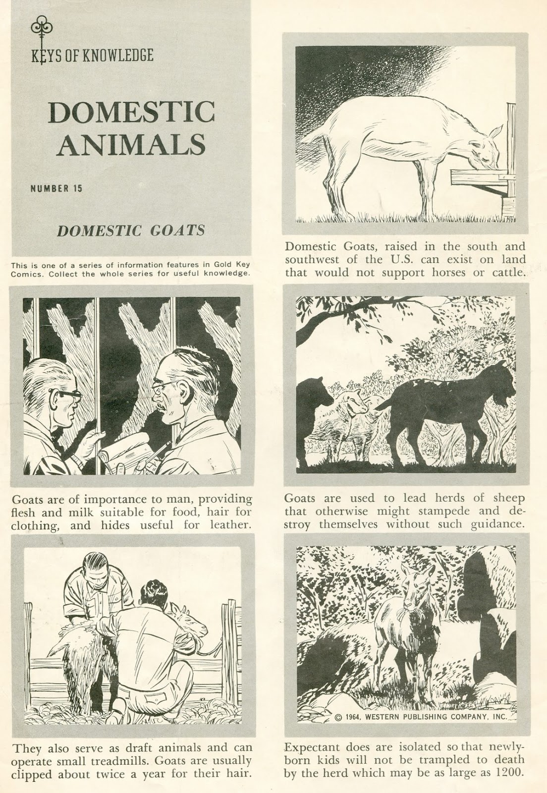 The Phantom (1962) Issue #9 - Page 2