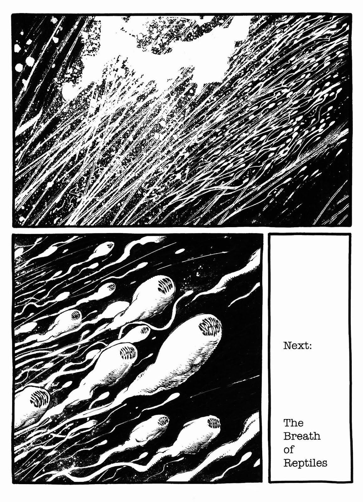 The Superannuated Man Issue #2 - Page 24