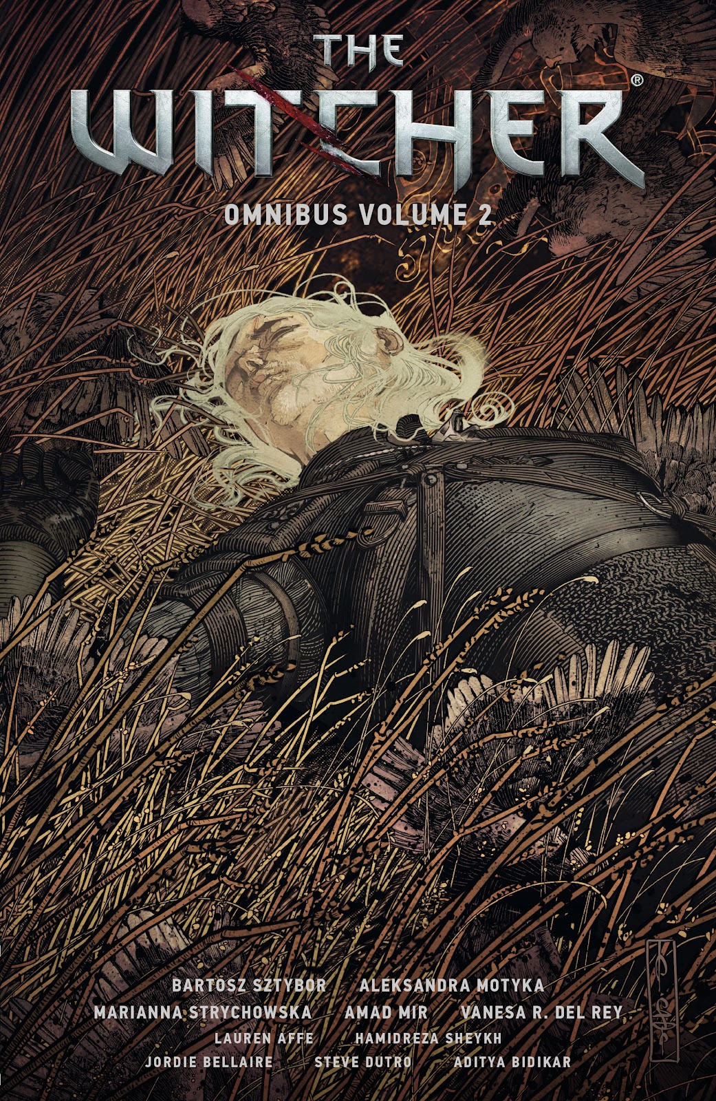 The Witcher Omnibus TPB 2 (Part 1) - Page 1