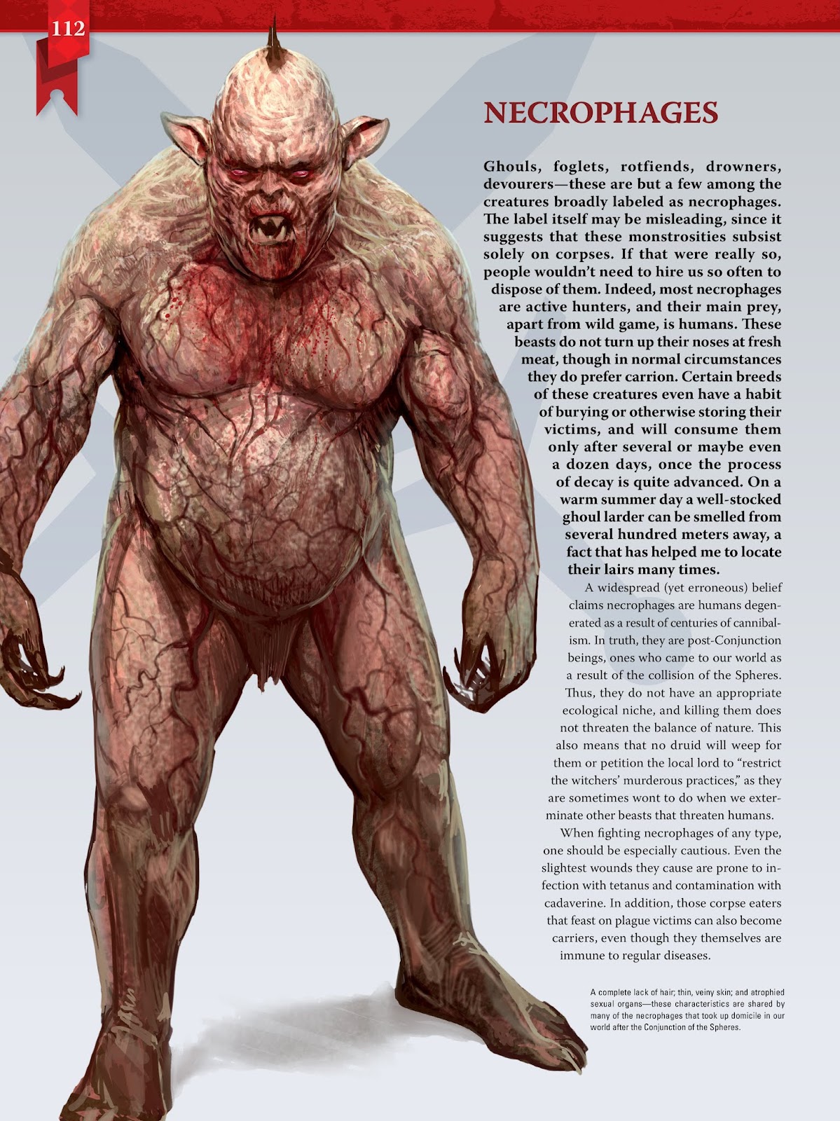 The World of the Witcher TPB_(Part_2) - Page 3