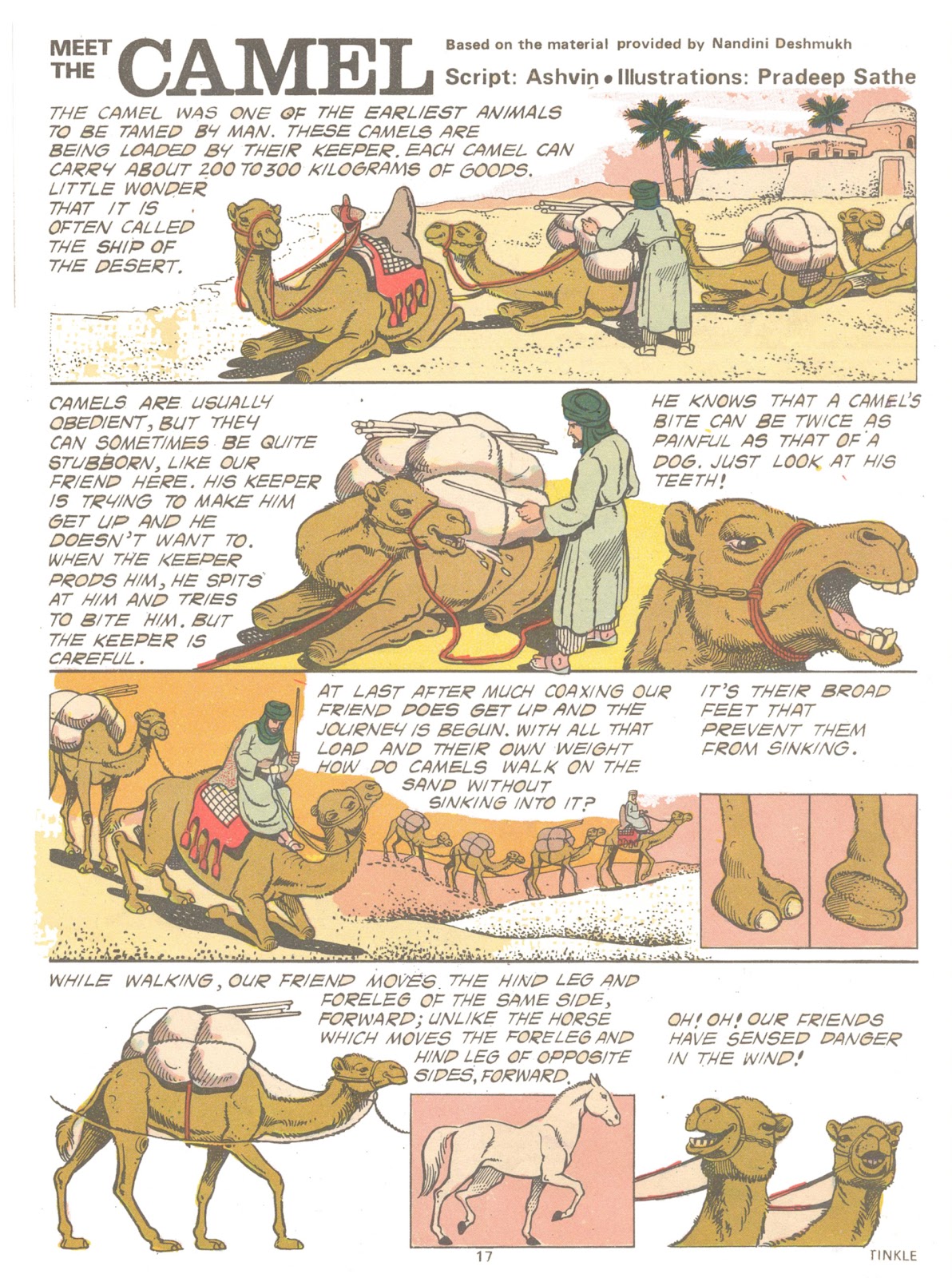 Tinkle Issue #12 - Page 19