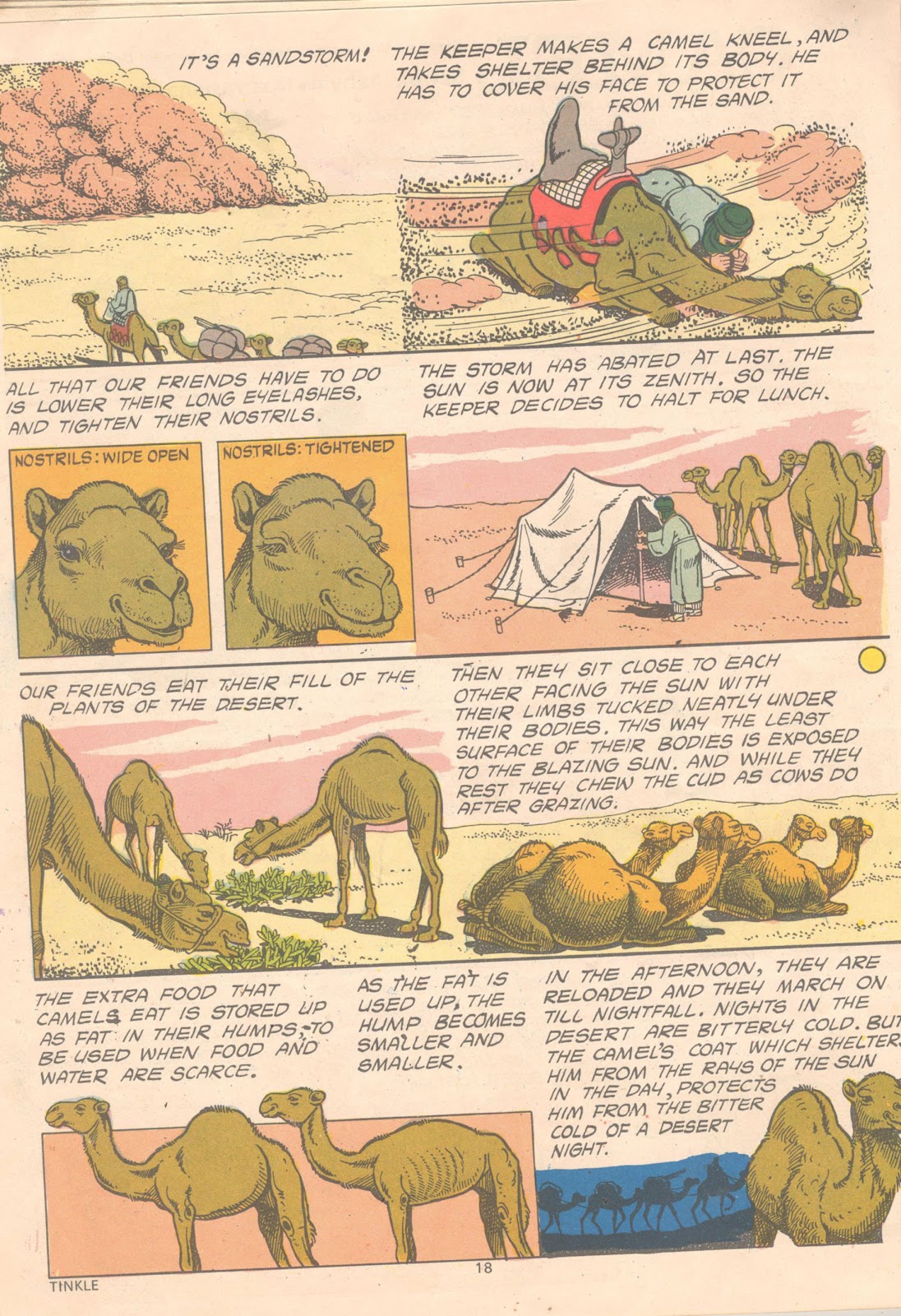 Tinkle Issue #12 - Page 20