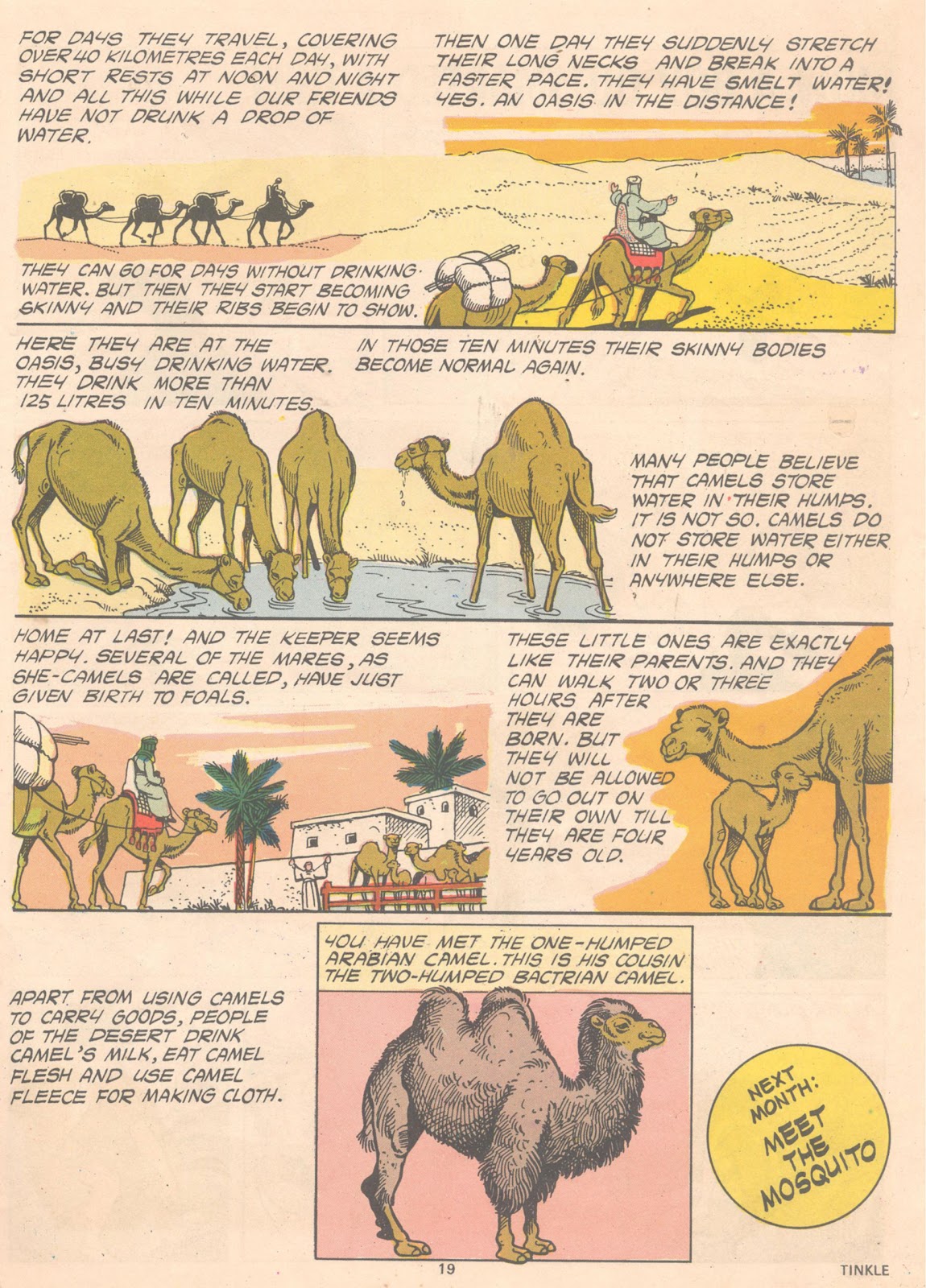 Tinkle Issue #12 - Page 21