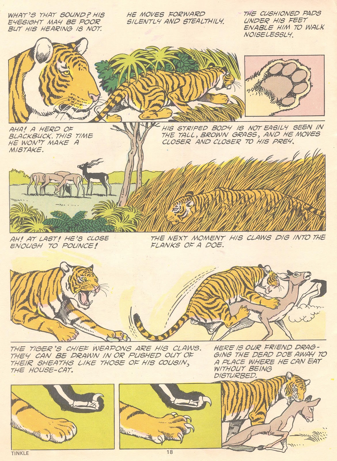 Tinkle Issue #14 - Page 20