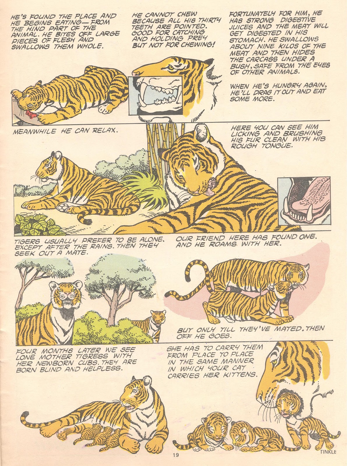 Tinkle Issue #14 - Page 21