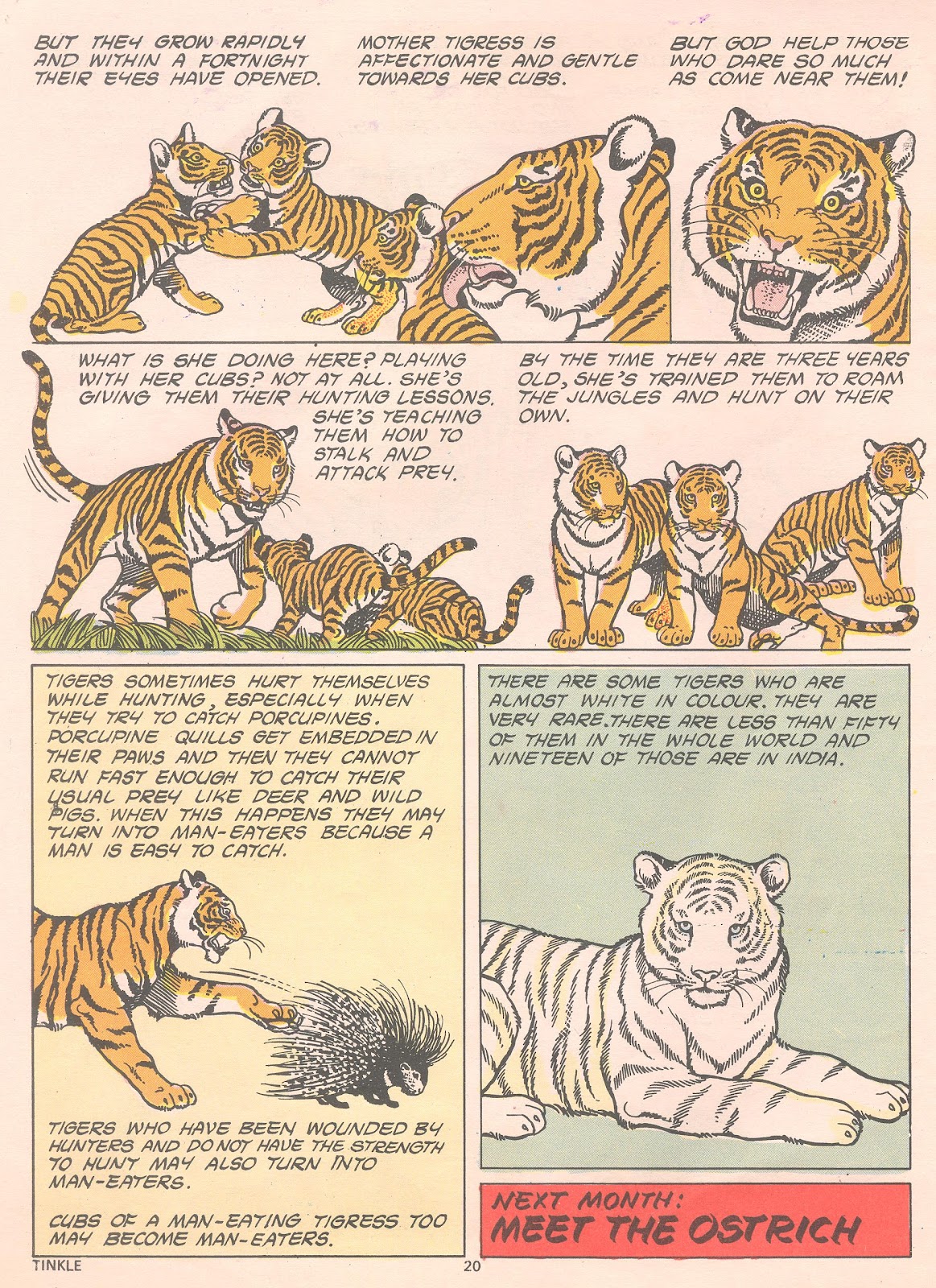 Tinkle Issue #14 - Page 22
