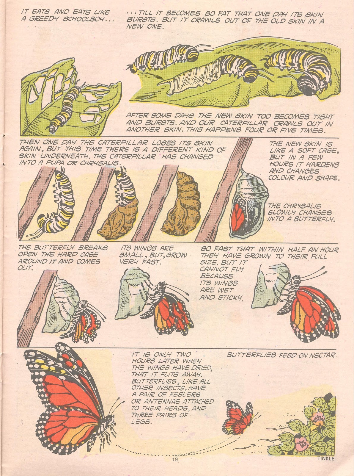 Tinkle Issue #16 - Page 21