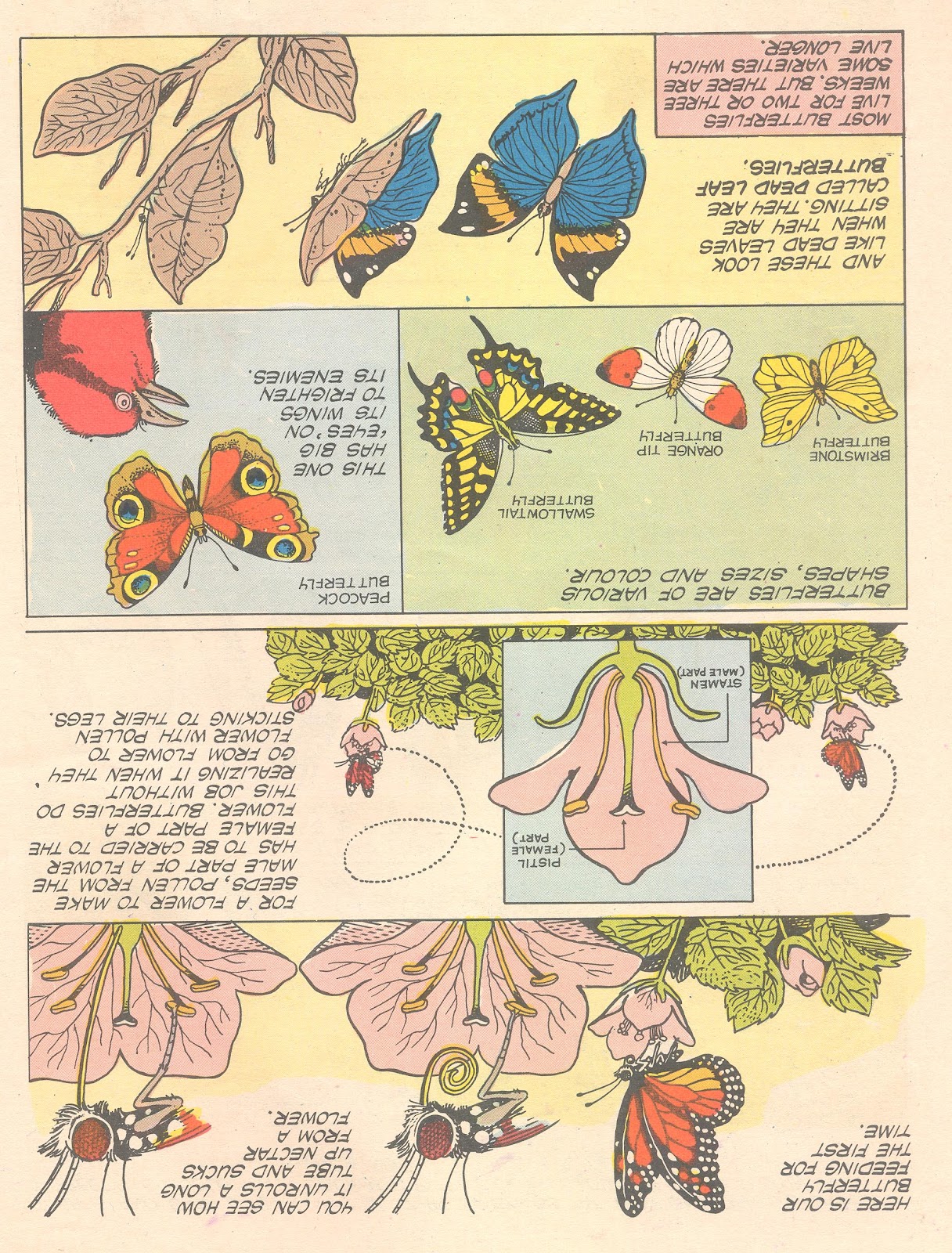 Tinkle Issue #16 - Page 22
