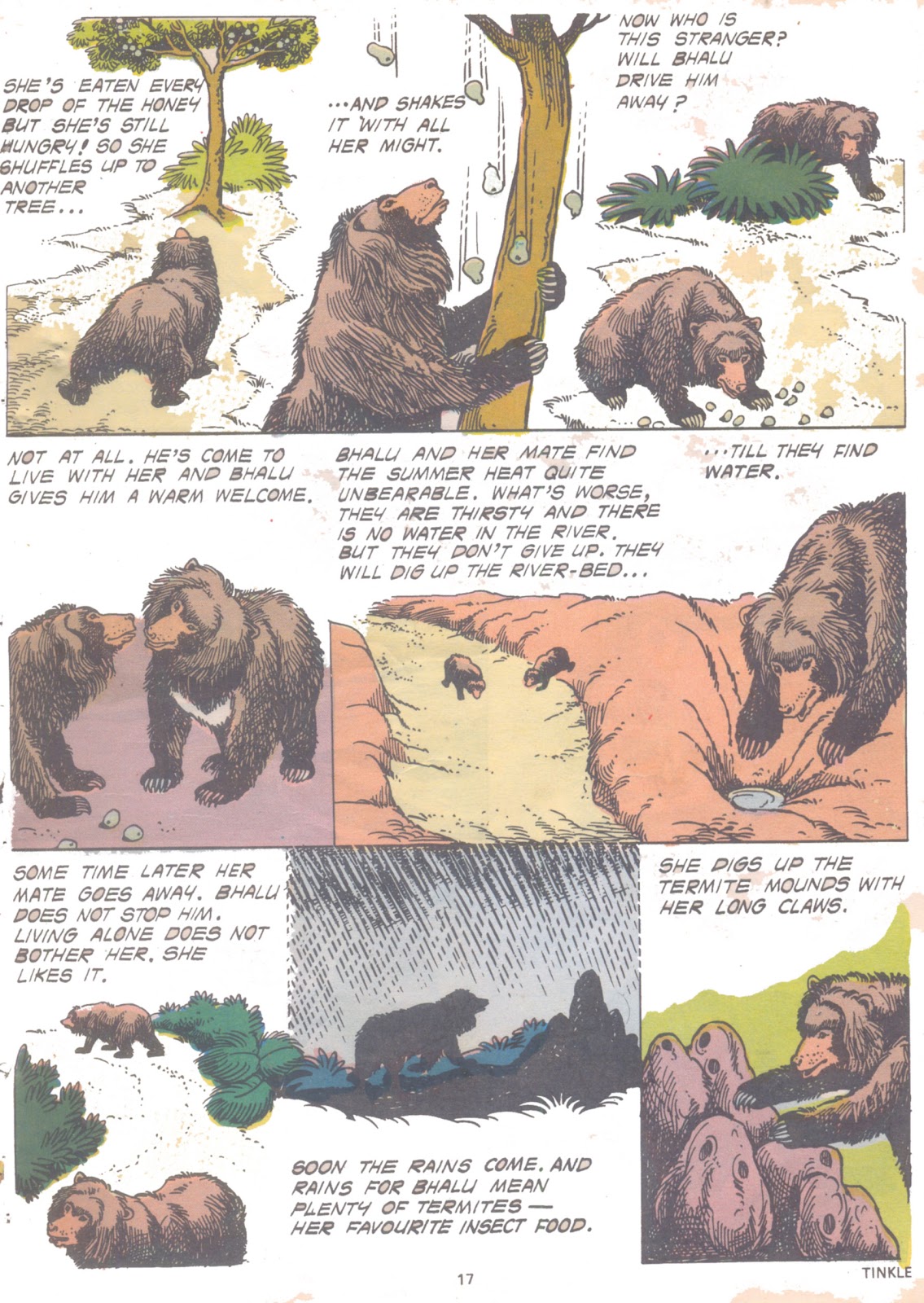 Tinkle Issue #3 - Page 19