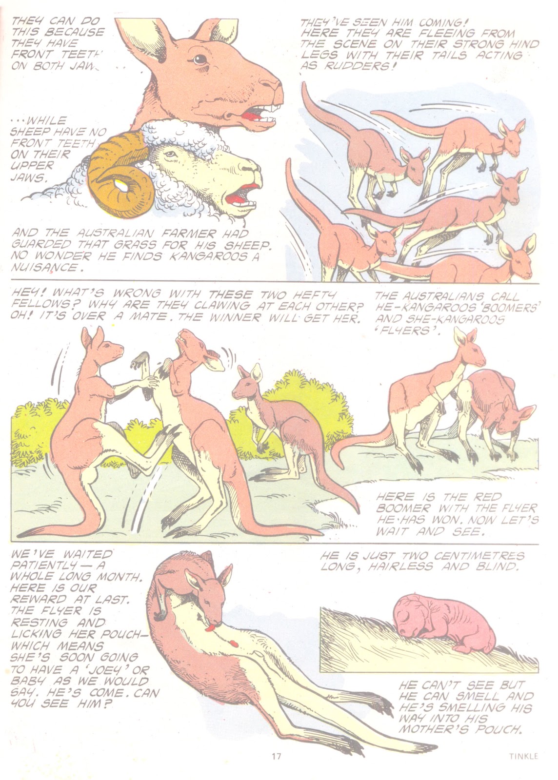 Tinkle Issue #4 - Page 19