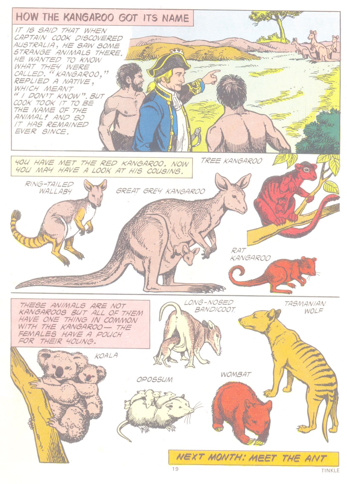 Tinkle Issue #4 - Page 21