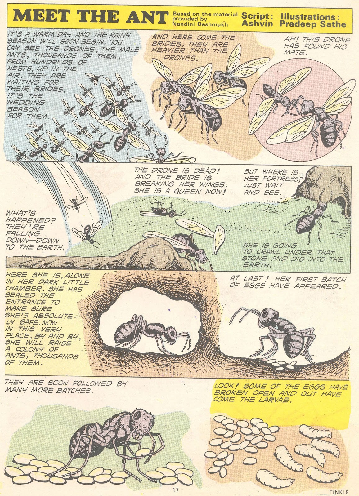 Tinkle Issue #5 - Page 19