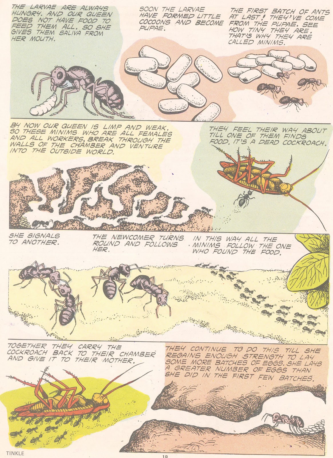Tinkle Issue #5 - Page 20
