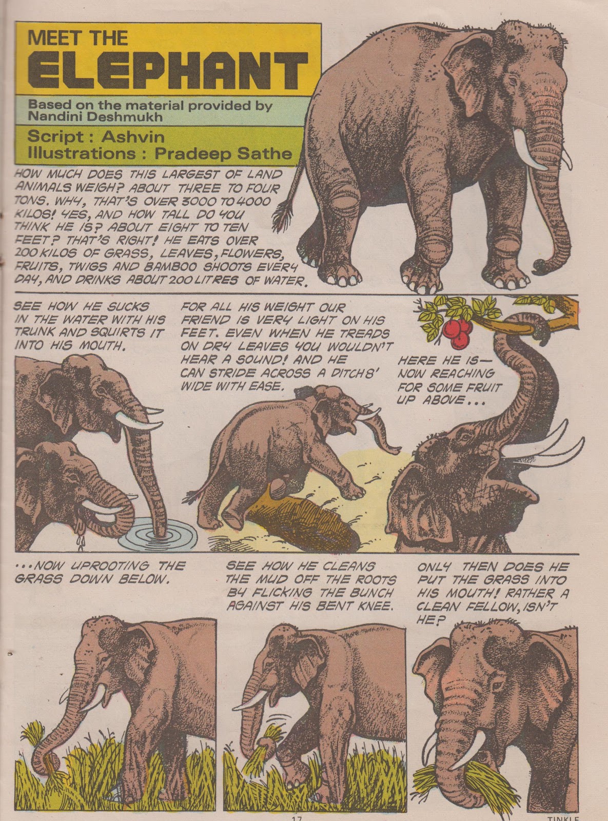 Tinkle Issue #6 - Page 19