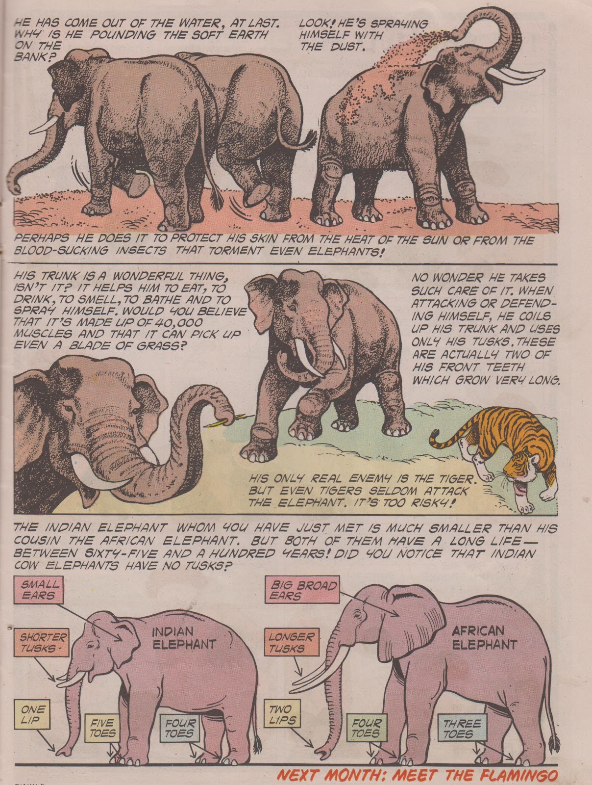 Tinkle Issue #6 - Page 21