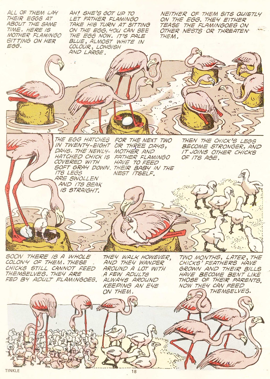 Tinkle Issue #7 - Page 20