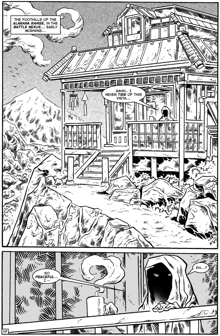 TMNT: Teenage Mutant Ninja Turtles Issue #31 - Page 28