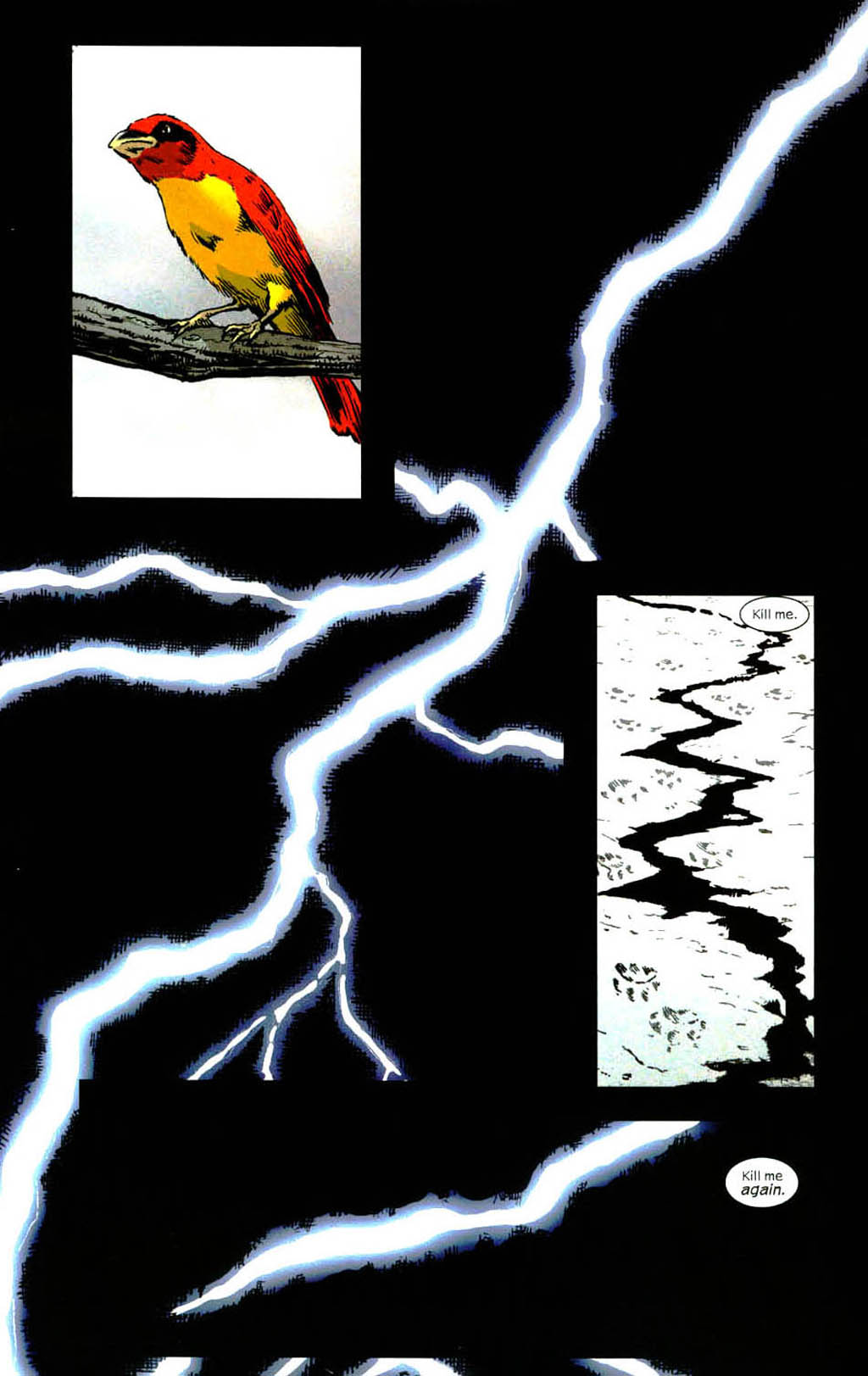 Wolverine (2003) Issue #12 - Page 3