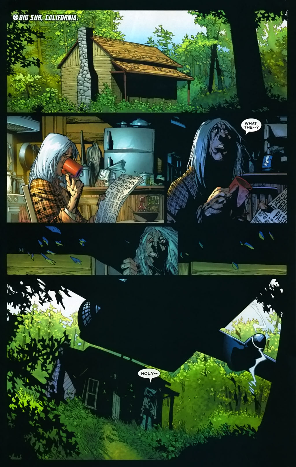 Wolverine (2003) Issue #43 - Page 14