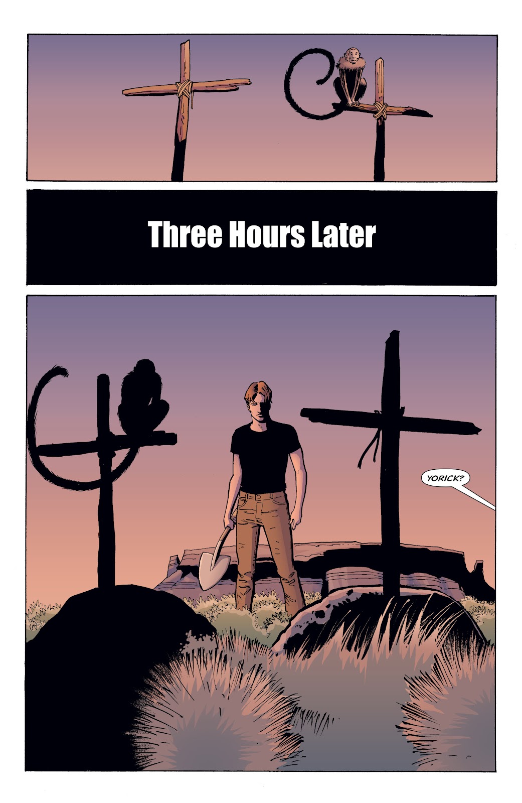 Y: The Last Man (2002) Issue #23 - Page 18