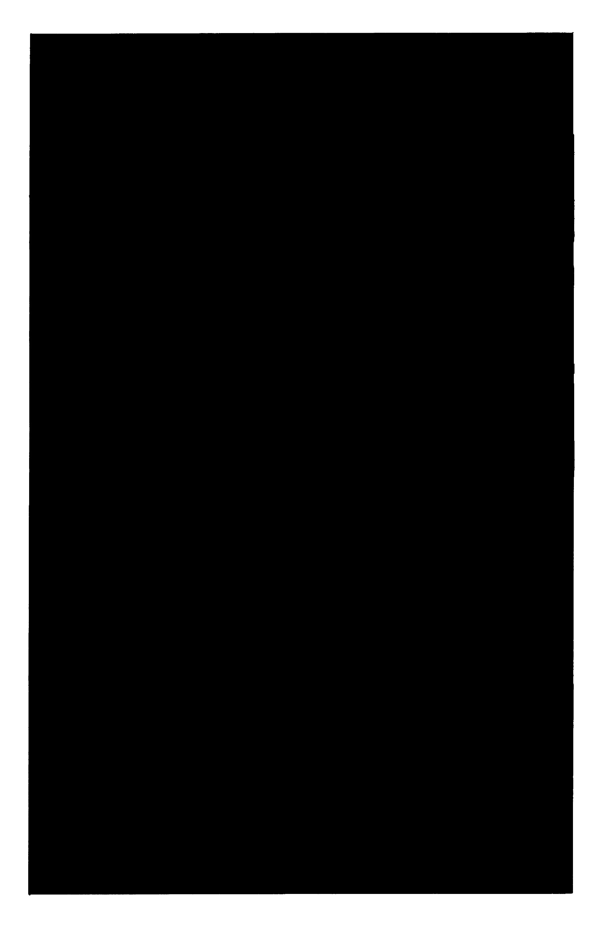 Zero Issue #9 - Page 25