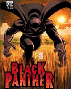 Black Panther (2005) cover image