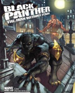 Black Panther: The Man Without Fear cover image